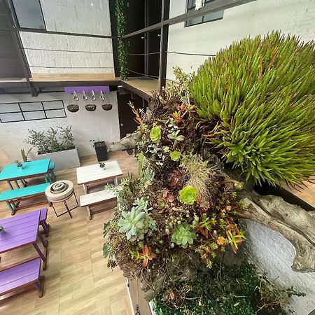 Super Apartamento Central En Casa Colonial Bogotá Eksteriør bilde
