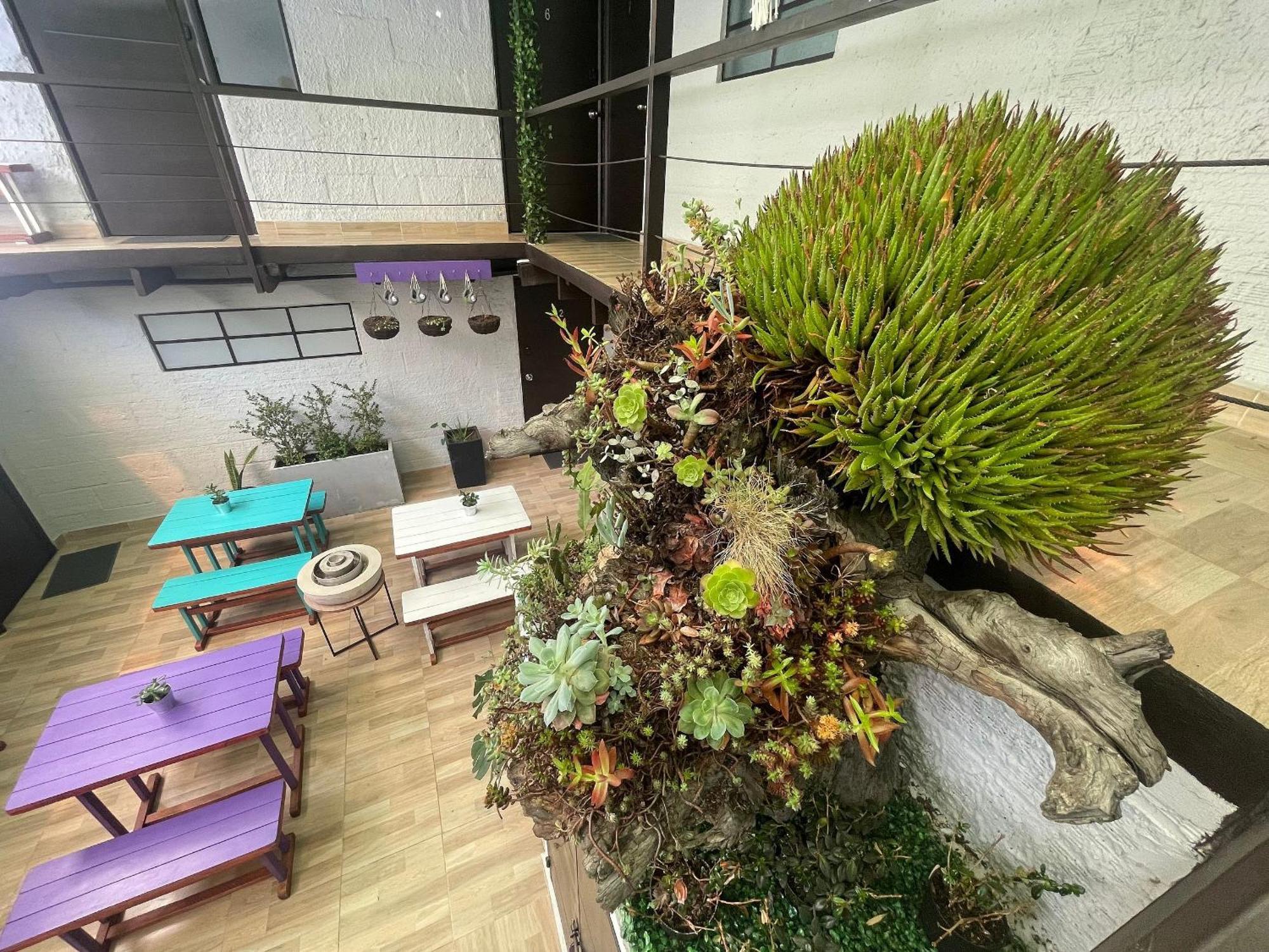 Super Apartamento Central En Casa Colonial Bogotá Eksteriør bilde